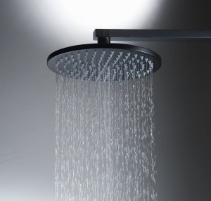 aquafaucet 8 inch ceiling mount stainless showerhead 7811