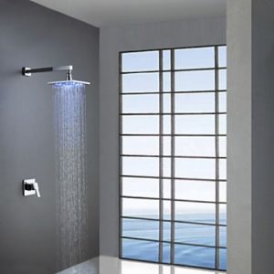 Rozinsanitary 8 Inch Color Changing LED Showerhead