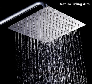 lifebest 8 inch stainless steel showerhead a16