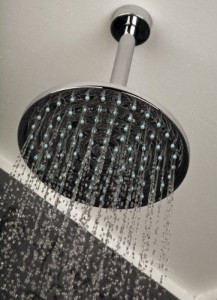 lacava wall ceiling mount rain showerhead b004zsuaiu