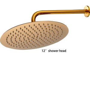 rozinsanitary 12 inch wall mounted with shower arm gold polished