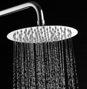 waterbella stainless steel shower head 8 inch