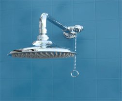 zoe manufacturing pool patio drench shower 150088