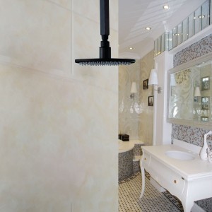 rozinsanitary bathroom round 8 inch top spray oil rubbed bronze showerhead
