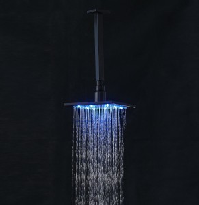 rozinsanitary led light 16 inch overhead plus ceiling mounted shower arm