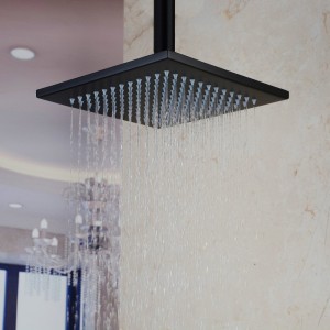 hiendure ceiling mount 10 inch stainless rainfall showerhead