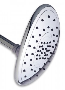 waterpik aquascape dual oval showerhead ast 233cc 20008439